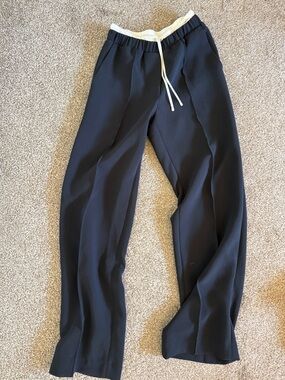 Aritzia Wilfred Sybil Pants